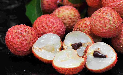 日啖荔枝三百顆,不辭長作嶺南人